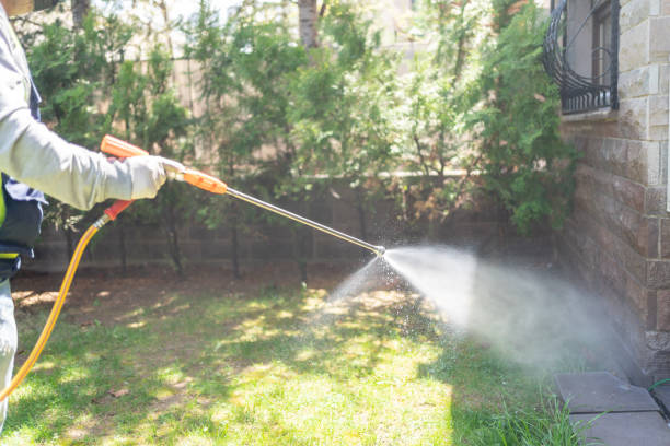 Spider Control Near Me in Elba, AL